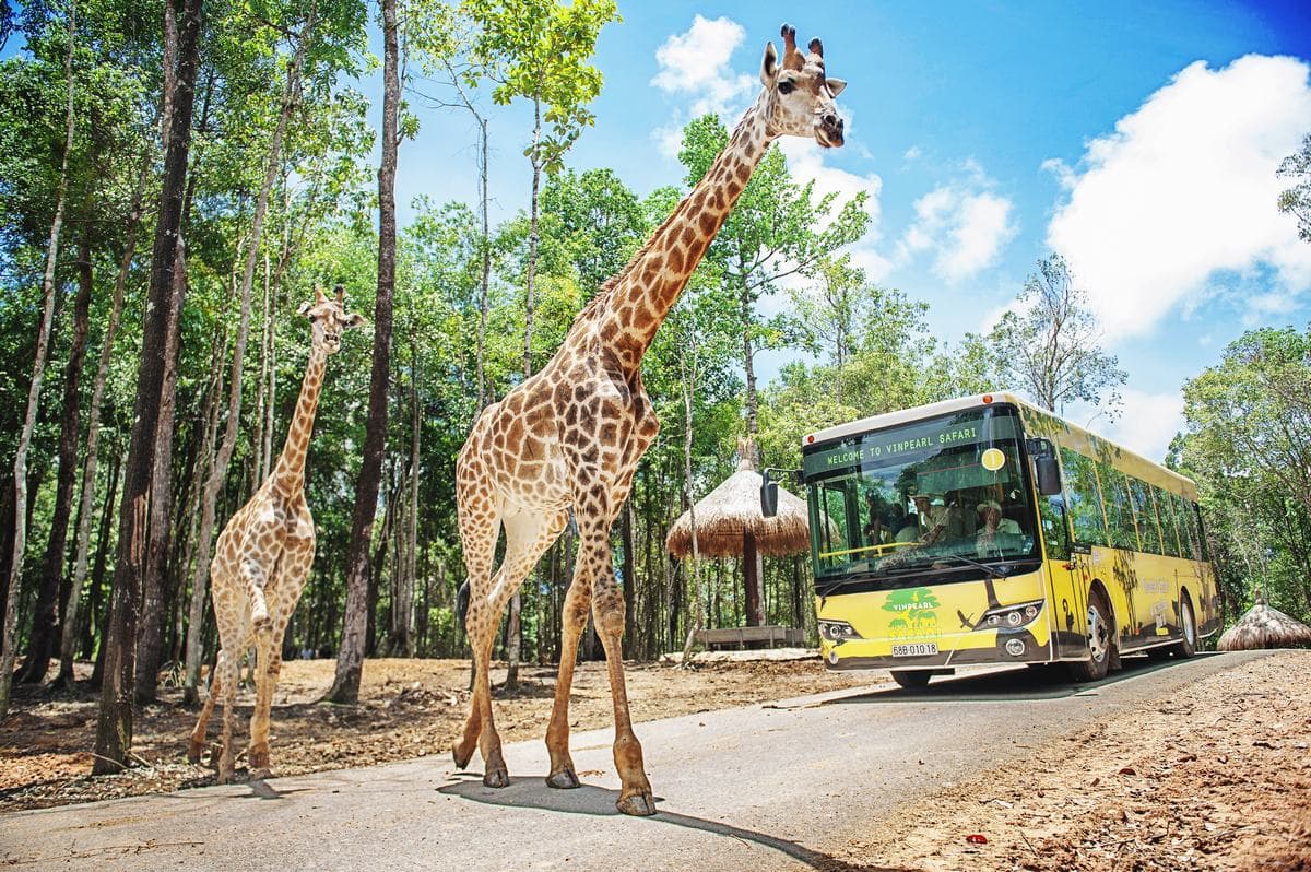 Vinpearl Safari Phu Quoc Ticket - main image