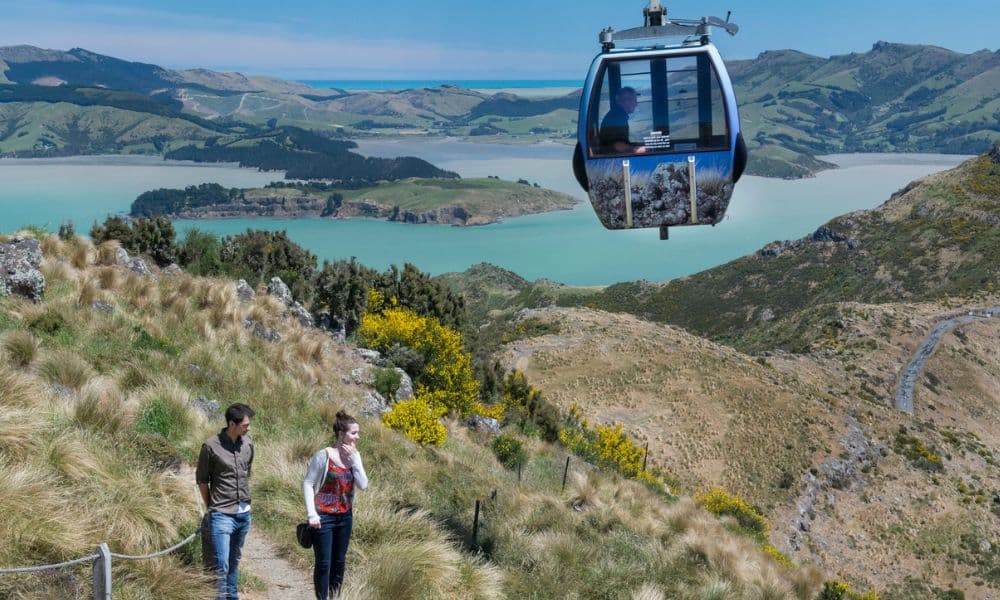 Christchurch Gondola Tickets - image 5
