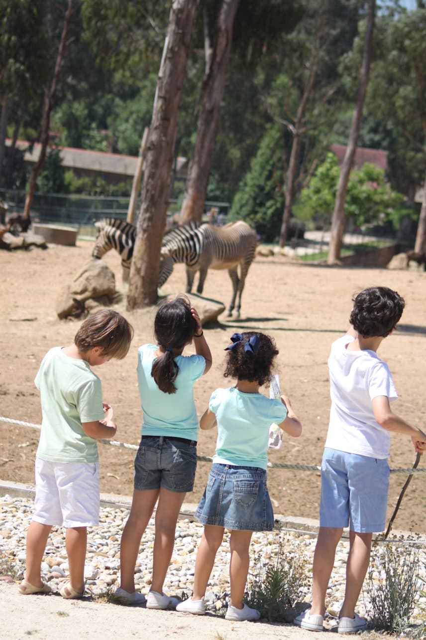 Zoo Santo Inácio Ticket - image 5