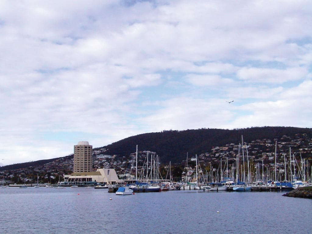 Mount Wellington and Hobart City Tour - image 7